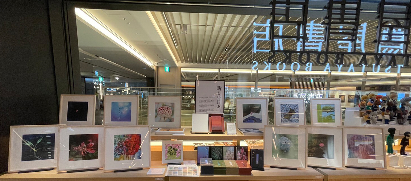 蔦屋書店にてNPI講師 馬場磨貴先生の写真展開催中です