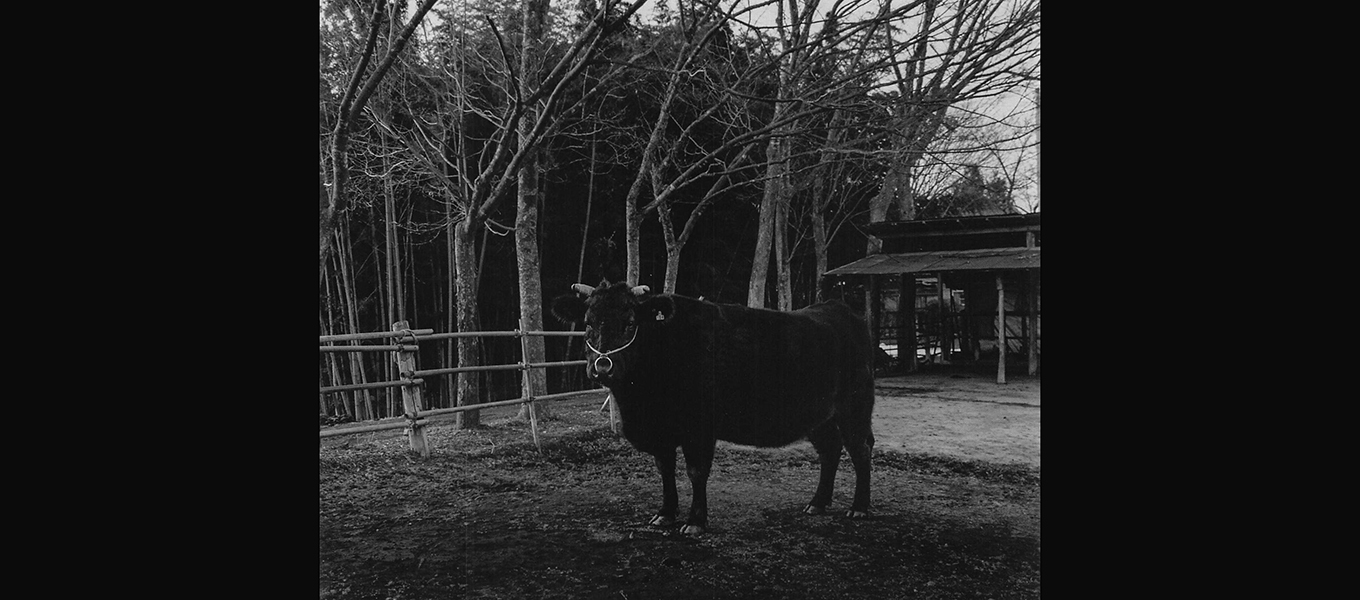 日本写真芸術専門学校 在学生・卒業生・講師 写真展情報【11月】