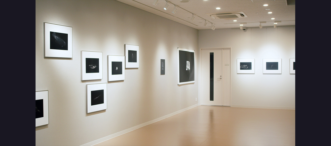 馬場智行 写真展「 Acryl 」8F WALL GALLERYにて開催中です