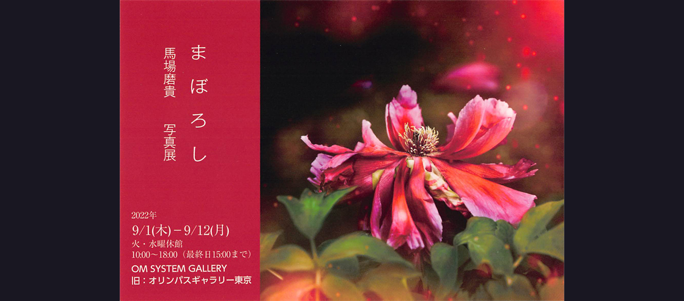日本写真芸術専門学校 在学生・卒業生・講師 写真展情報【9月】