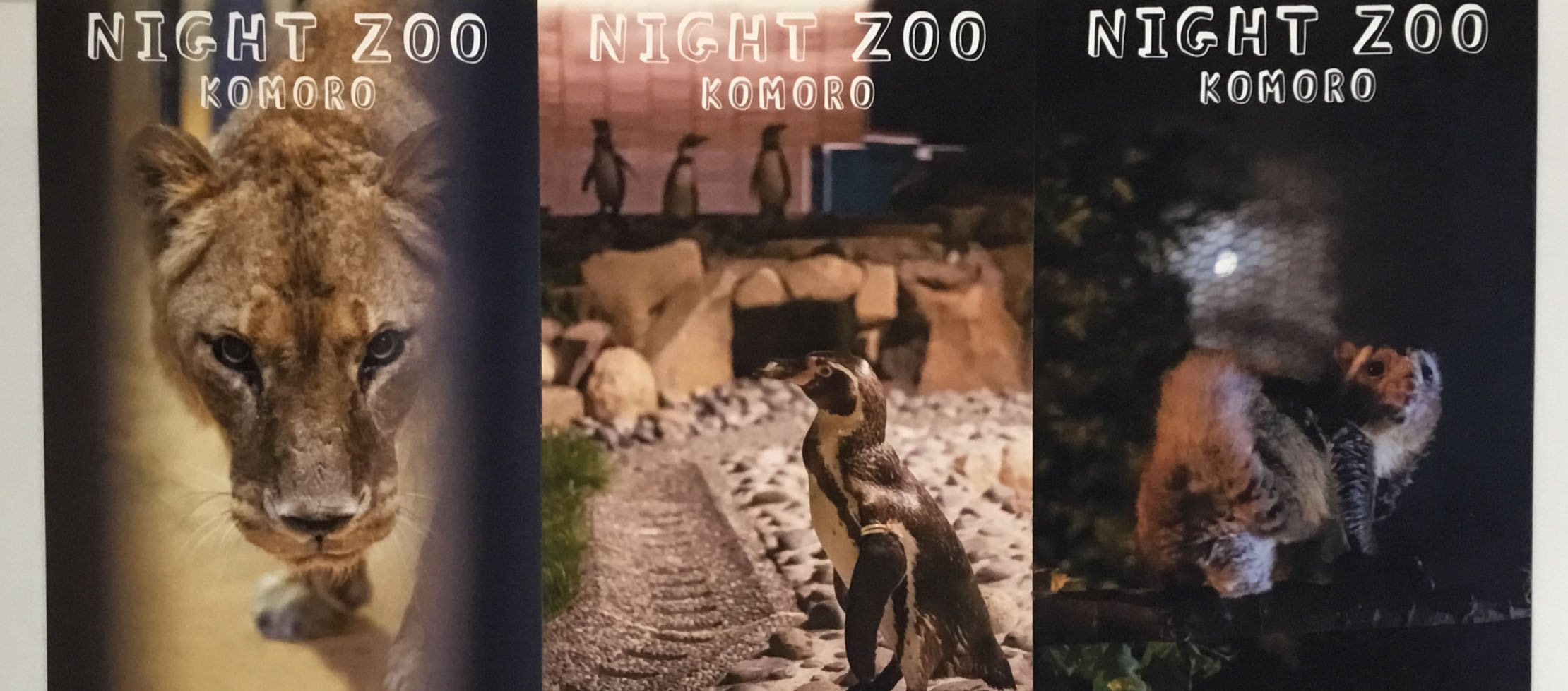 【在校生情報】長野県小諸市の小諸市動物園にて在校生大竹さんの写真展が行われています。