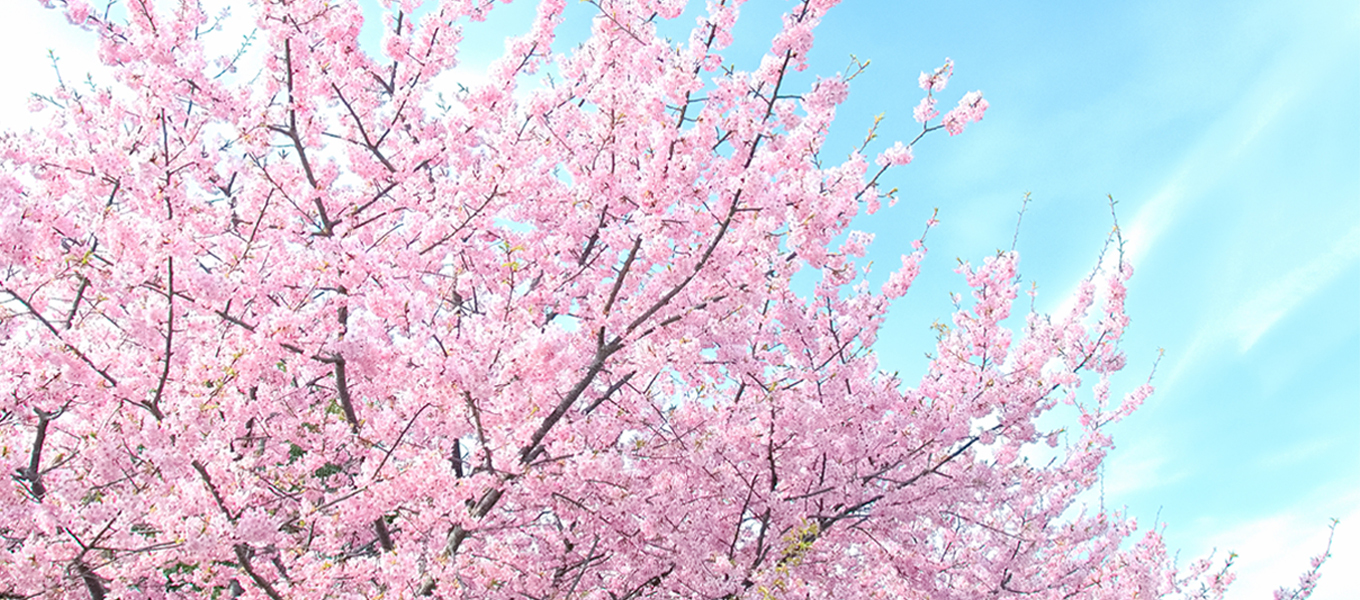 3/25（土）開催決定！「春をきりとる＃桜＃写真好き＃スナップ 1day撮影講座」