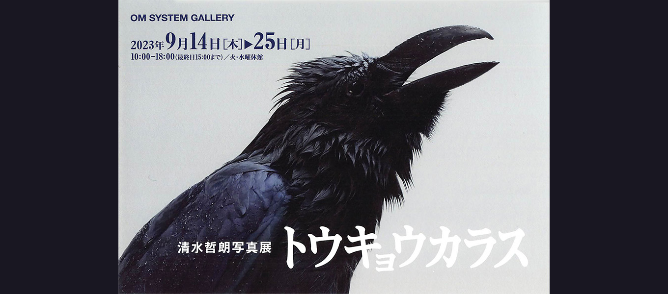 日本写真芸術専門学校 在学生・卒業生・講師 写真展情報【9月】