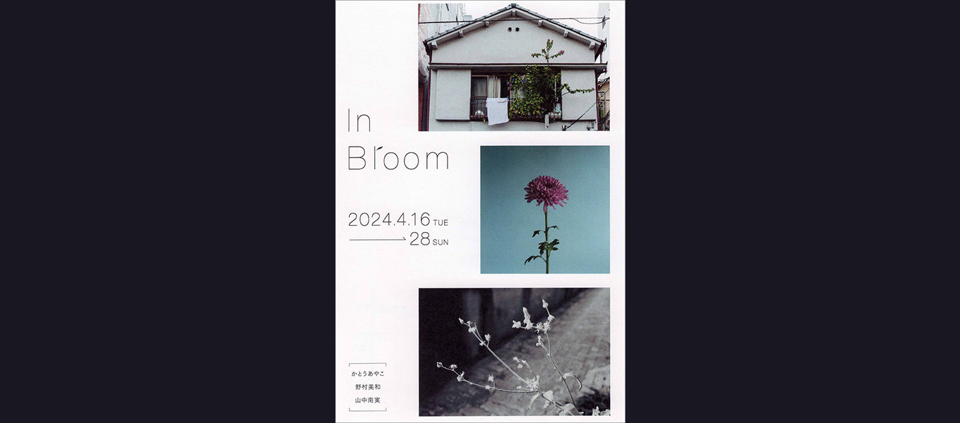 日本写真芸術専門学校 在学生・卒業生・講師 写真展情報【3月】