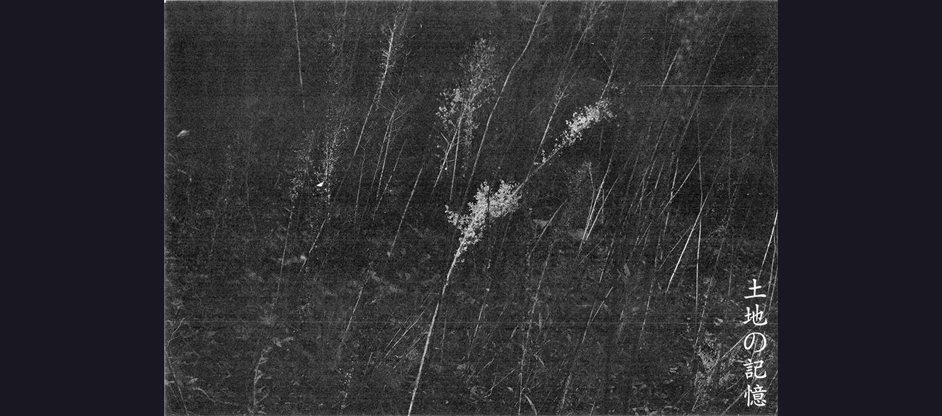 日本写真芸術専門学校 在学生・卒業生・講師 写真展情報【6月】