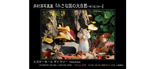 日本写真芸術専門学校 在学生・卒業生・講師 写真展情報【9月】