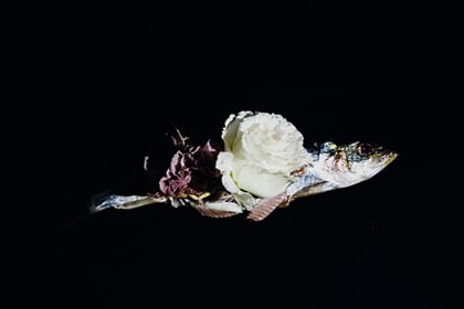 辻菜々子_work_1