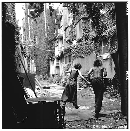 ハービー・山口 作品例