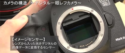 Schoo講座例