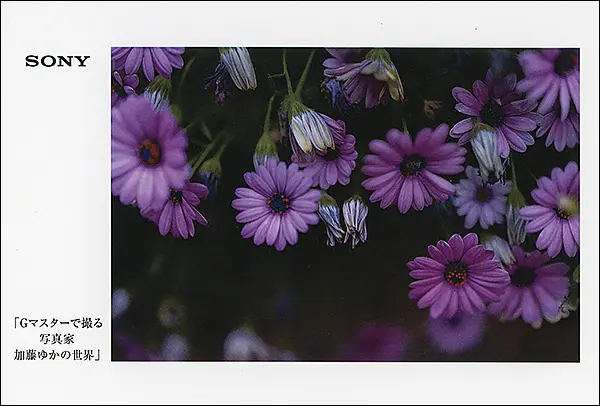 日本写真芸術専門学校 在学生・卒業生・講師 写真展情報【12月