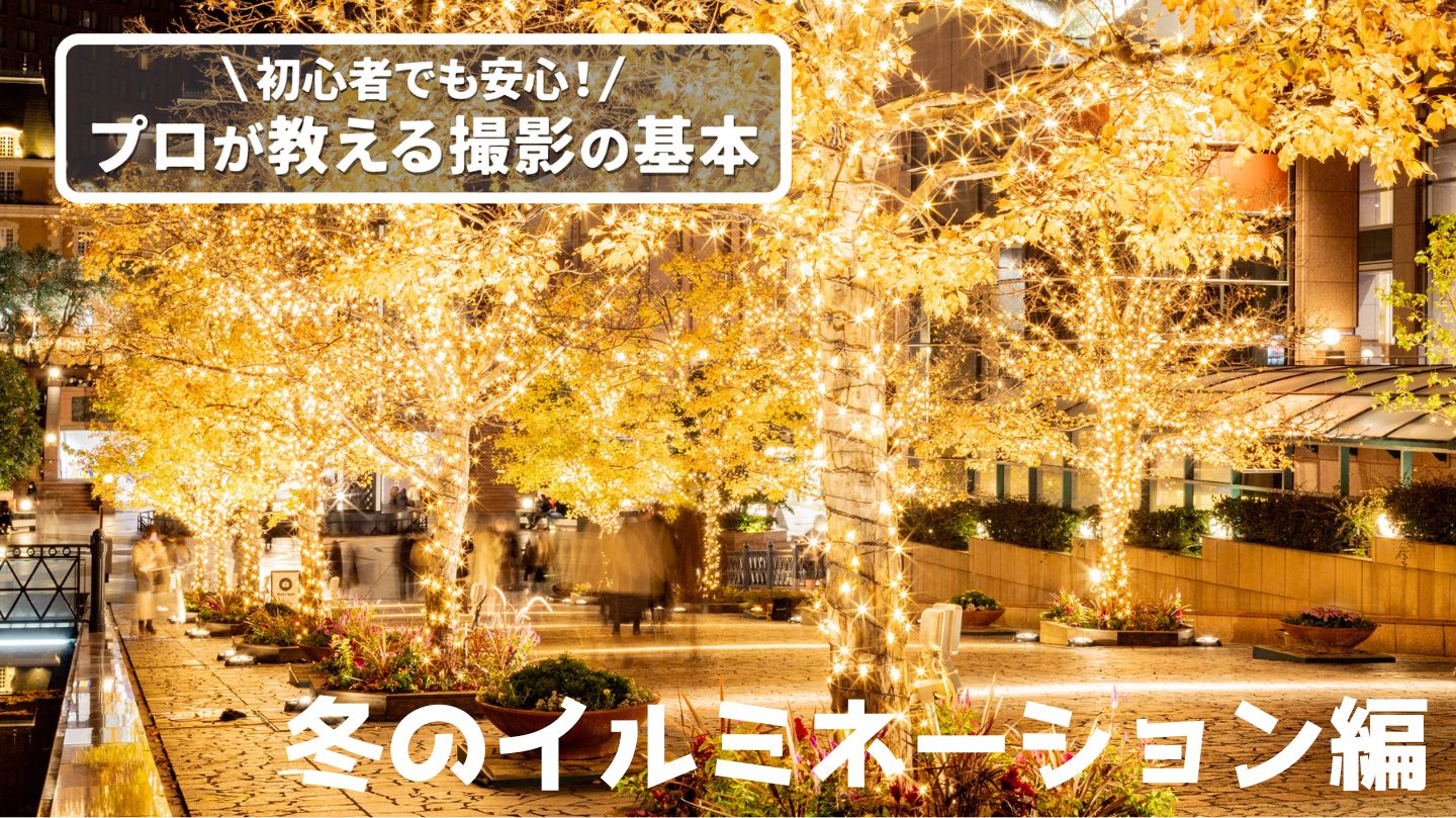 【12/17(水) 開催】初心者でも安心！プロが教える撮影の基本「冬のイルミネーション編」