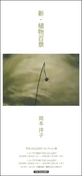 日本写真芸術専門学校 在学生・卒業生・講師 写真展情報【2月】 【日本