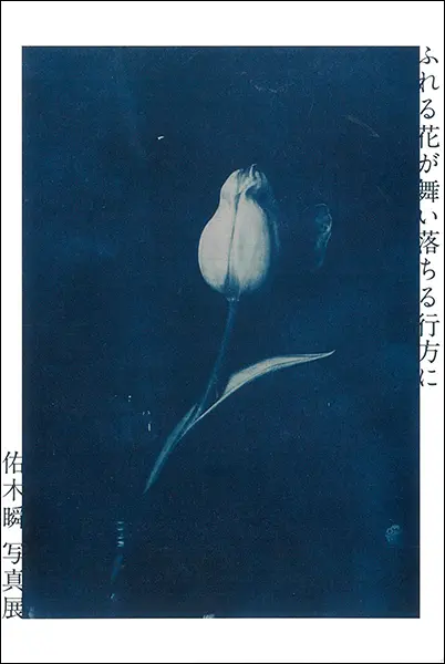 【中古】科学写真便覧〈中〉 (1959年) 中古】科学写真便覧〈中〉 (1959年) 【公式通販】
